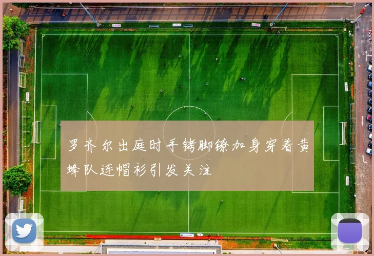 罗齐尔出庭时手铐脚镣加身穿着黄蜂队连帽衫引发关注