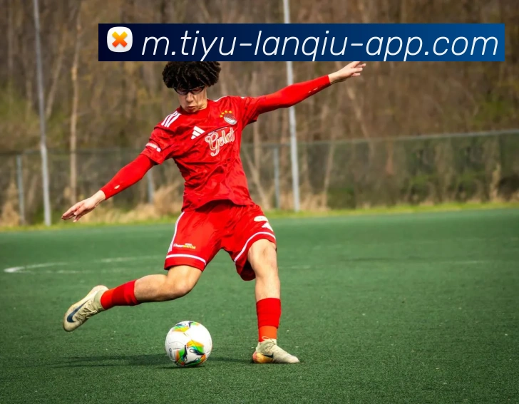 App Interface Preview